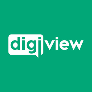 Digiview Logo