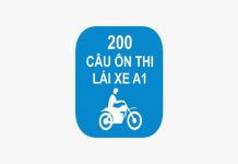 app-200-cau-hoi-thi-bang-lai-xe-a1