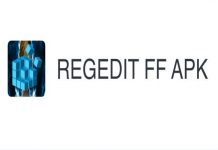 reg-ff