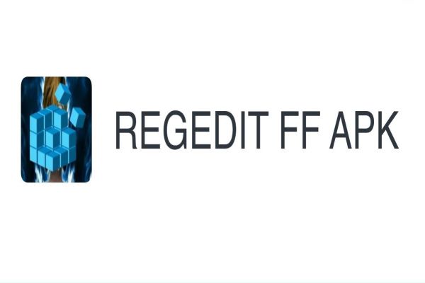reg-ff